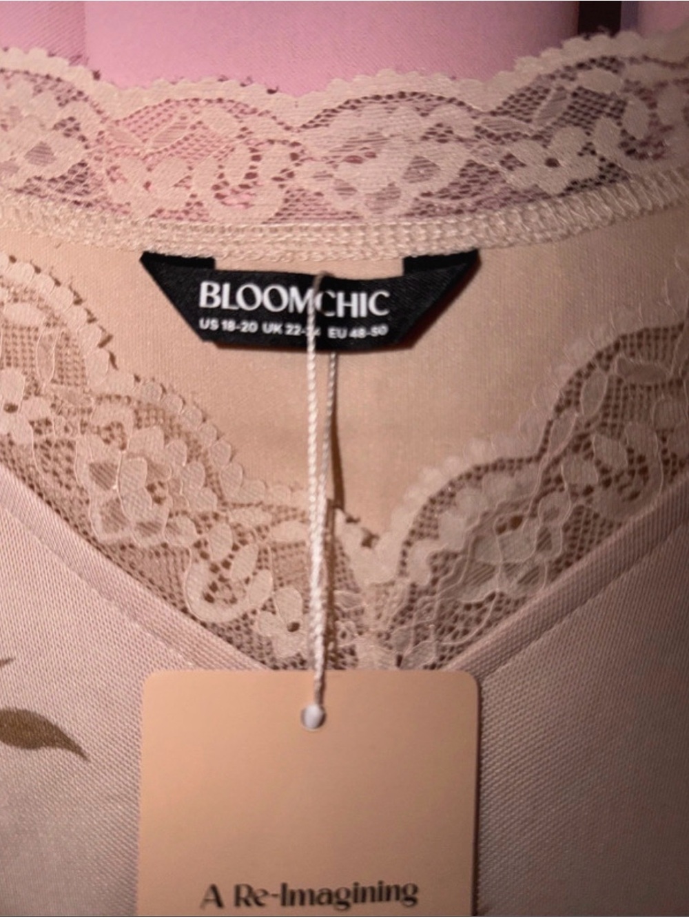 Bloomchic Floral Lace-Trim Creamy Rose V-Neck Women's Top - Picture 3 of 4